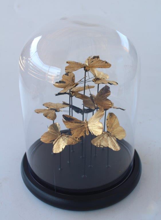 Medium Glass Dome Gold Butterflies